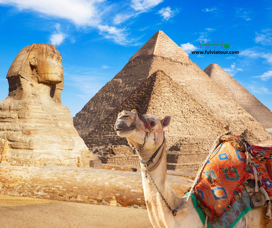 Il cairo 2