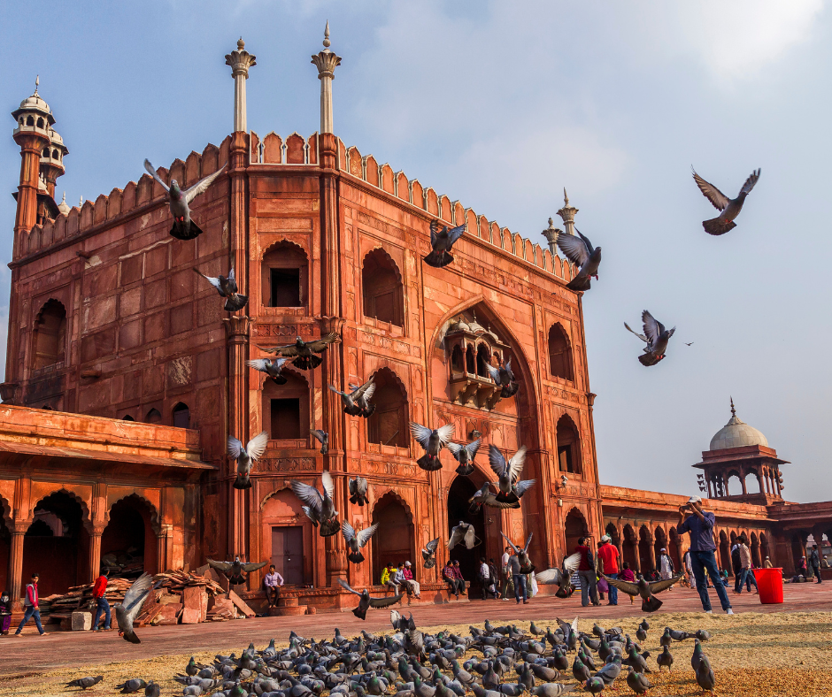 3DELHI